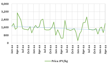 Graph 1: Average price at Customs of frozen bluefin Japanese imports (HS 030345000 and 030346000), 2015–2019, in JPY/kg